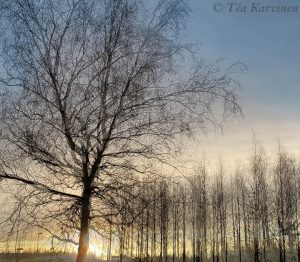 photo of the week 16