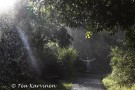 photo of the week 16