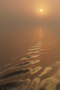 photo of the week 19 (Linnansaari National Park at the Saimaa lake area)