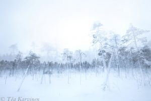 photo of the week 3 – Ounasvaara, Rovaniemi, Finnish Lapland