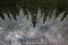 photo of the week 38