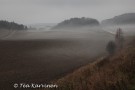 photo of the week 42
