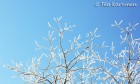 photo of the week 45