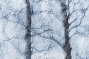 photo of the week 48  (@ Rovaniemi)