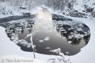 photo of the week 5