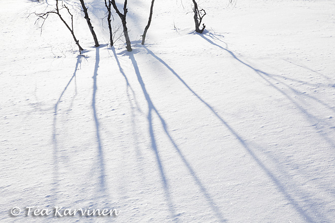 Urho Kekkonen / winter
