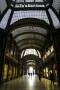 In Torino downtown - (1510)