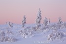 From the slopes of Kiilopää after the sunset in late Nov. - (241)