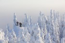 Koli national park - (4292)