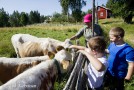 5878