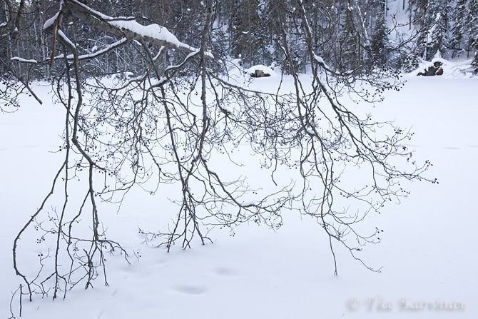 Helvetinjärvi / winter