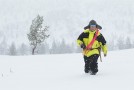 A reindeer herder - (9770)