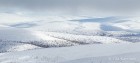 A view from the top of Sokosti fell - (9901)