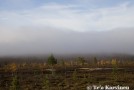 lapland I