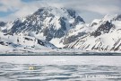 svalbard II