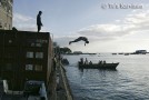Stone Town, Zanzibar, is one of the Unesco World Heritage Sites - (9003)