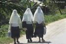 On a countryside of Zanzibar: local school girls - (9268)