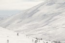 Two skiers skiing from Nammalakuru toward the hotel Pallas - (9290)