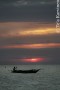 Zanzibar, Tanzania - (9560)