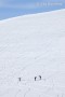 Skiing in Pallas - (9649)