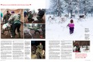 Petojen naapurissa itärajalla Sallassa-3 (Kotiliesi)