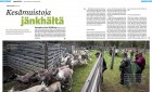 Anssi-1 (Yrittäjä magazine)