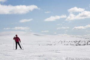 Kiilopää taustalla