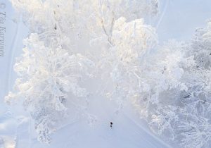 photo of the week 4 – Koli National Park