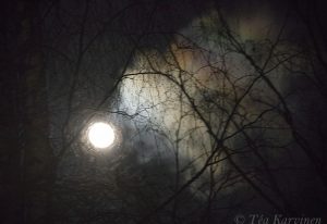 photo of the week 8 – A full moon night