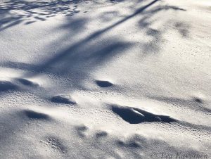 photo of the week 9 – Skiing :)