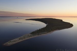 photo of the week 24 (Island called Ärjä in Oulujärvi lake)