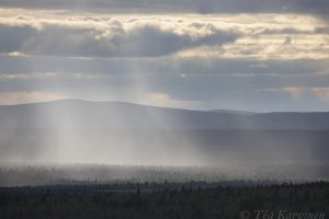 photo of the week 26 (Lemmenjoki National Park)