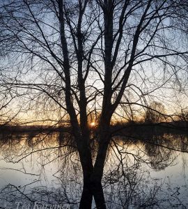 872 – Rovaniemi in May