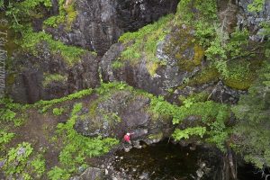 photo of the week 27 (Hitonhauta in Laukaa)