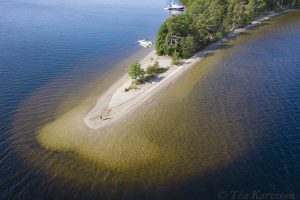 photo of the week 29  – (Päijänne National Park)