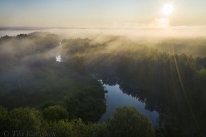 photo of the week 30 – (Puurijärvi-Isosuo National Park)