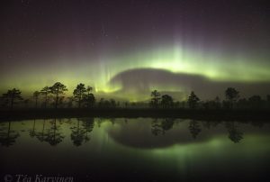 photo of the week 39  (Kauhaneva-Pohjankangas National Park)