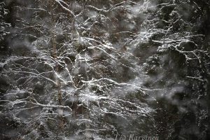 photo of the week 41