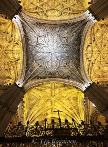 photo of the week 45 (The largest Gothic Cathedral in the world is in Seville, Spain)