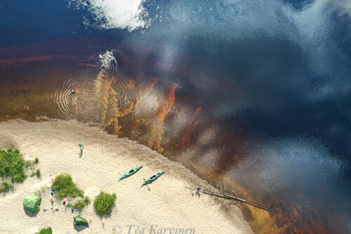 311 – Swimming at the Oulanka river in Oulanka National Park