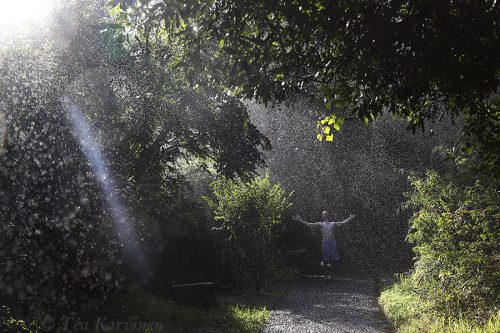 4537 – Victory Falls, Zimbabwe