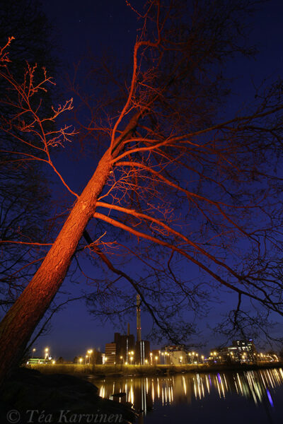 5521 – Helsinki by night