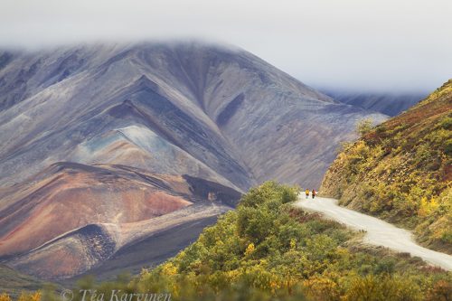 6440 - Denali National Park, Alaska