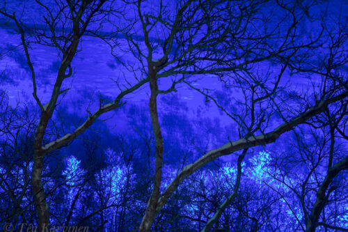 8350 – Saana fell in Kilpisjärvi, Lapland (in Dec. 2017)