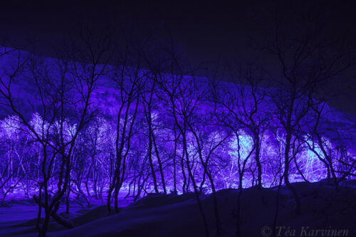 8360 – Saana fell in Kilpisjärvi, Lapland (in Dec. 2017)