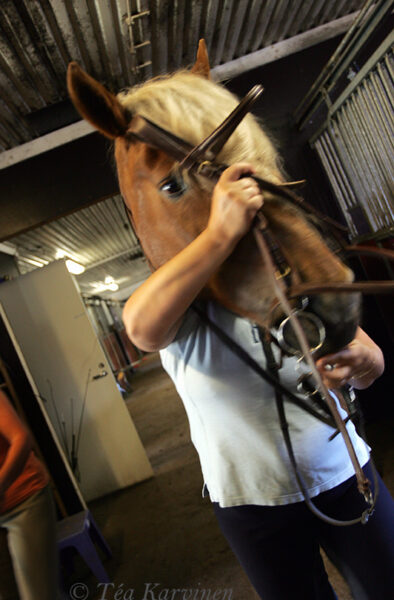 @ Ypäjä in 2005 (Loimihakan talli)