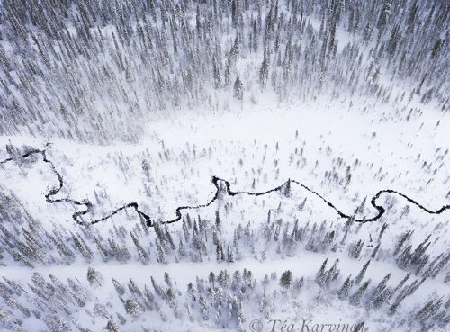 263 – Salla National Park