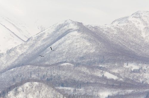 4099 – Rausu mountains in Hokkaido, Japan