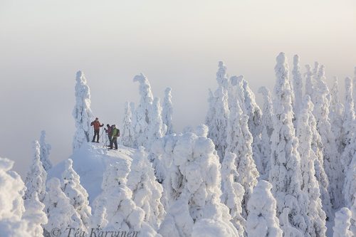 4292 – Koli National Park