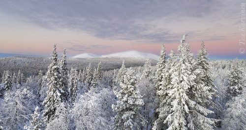 448-449 – Pallas fells in November in Pallas-Yllästunturi National Park